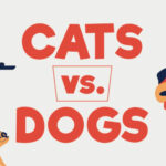 why cats are better than dogs