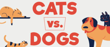 why cats are better than dogs