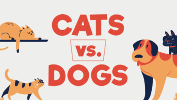 why cats are better than dogs