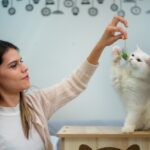 Owner plays with cat