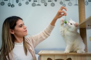 Owner plays with cat
