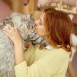 Cat adopted by a person