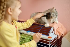 Cat grooming
