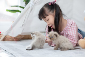 Cats and a baby