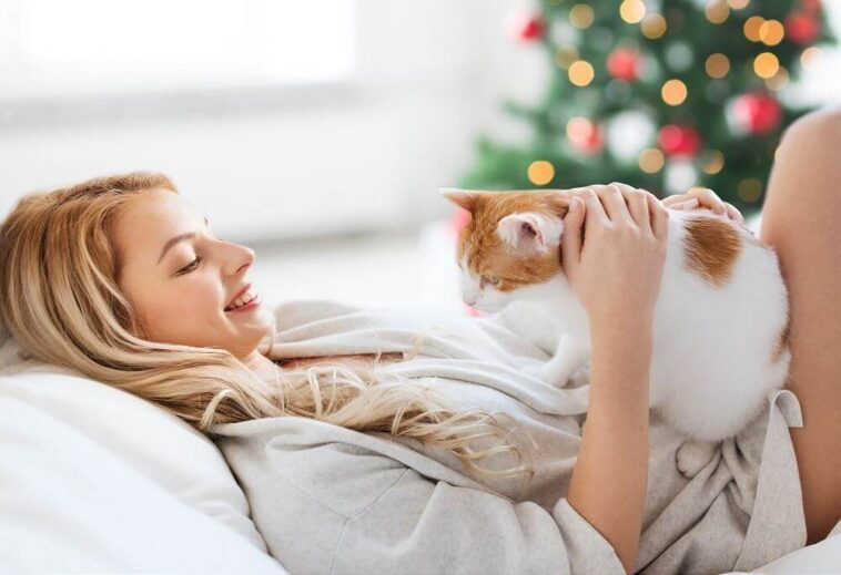 a happy cat